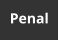 Penal